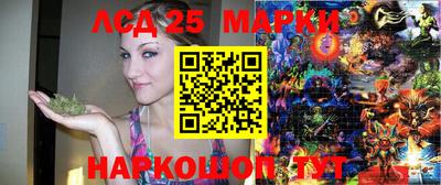 мяу мяу мука Будённовск