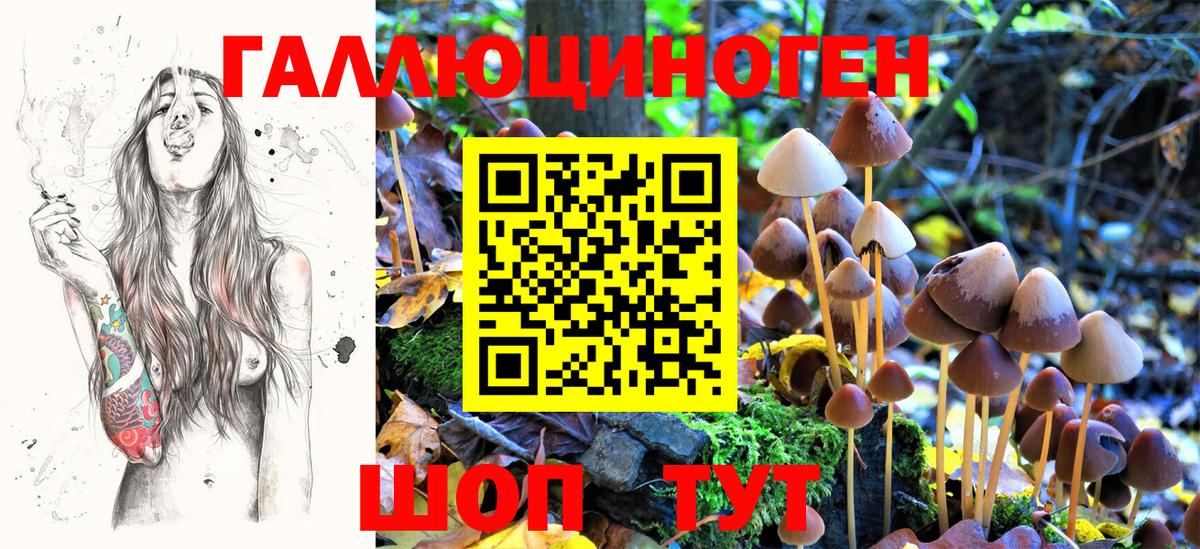 Клинцы  Галлюциногенные грибы GOLDEN TEACHER  Галлюциногенные грибы Cubensis  Вход с VPN 